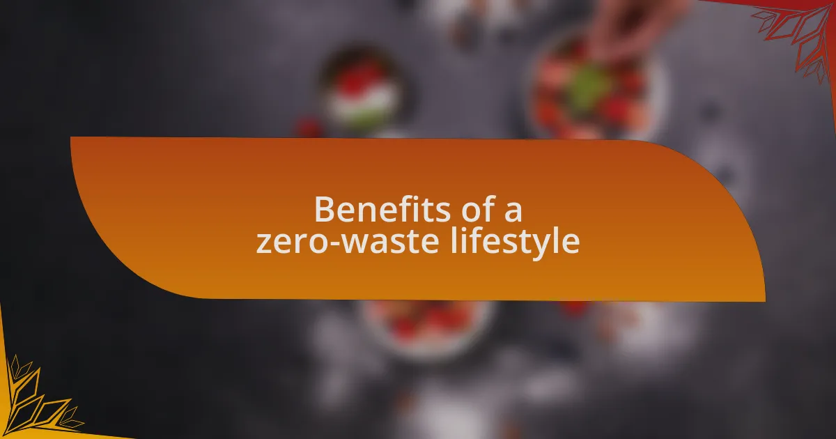Benefits of a zero-waste lifestyle