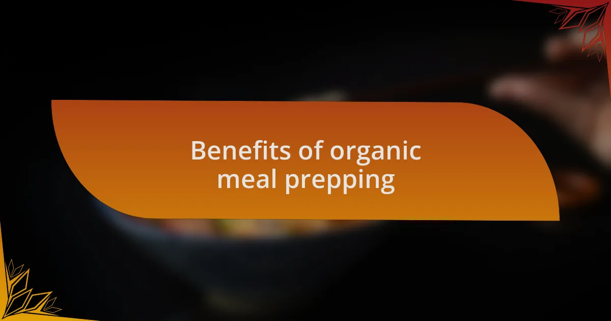 Benefits of organic meal prepping