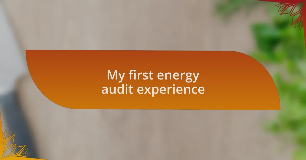 My first energy audit experience