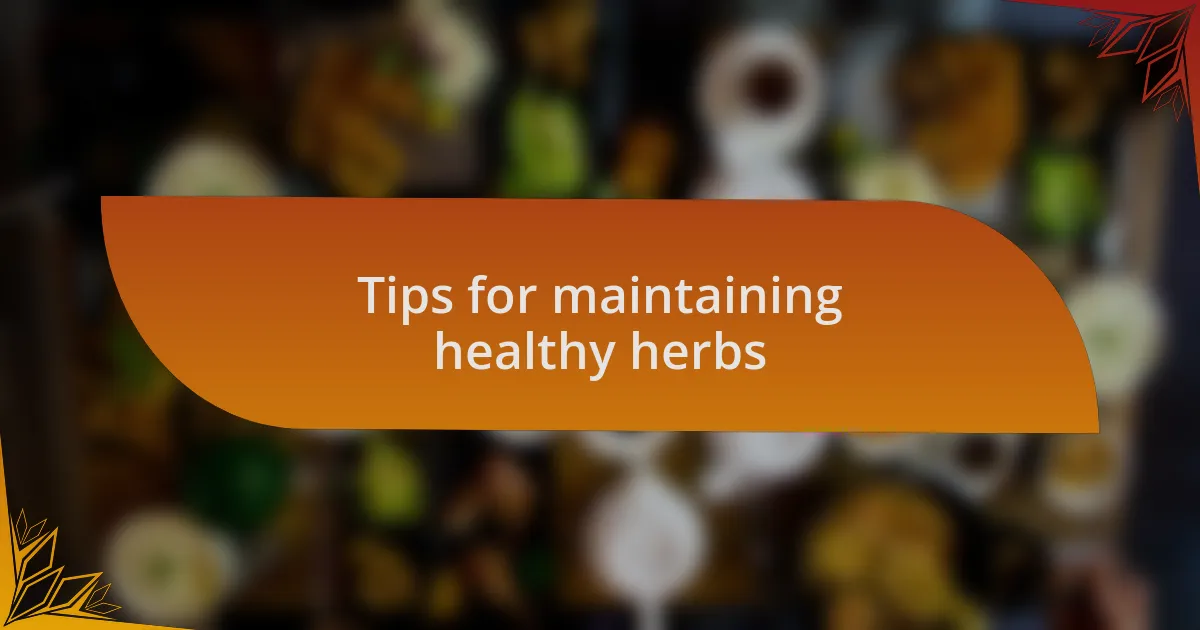 Tips for maintaining healthy herbs